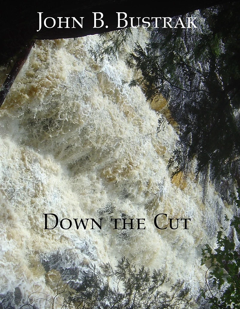 Down The Cut (Refuge World, #2)