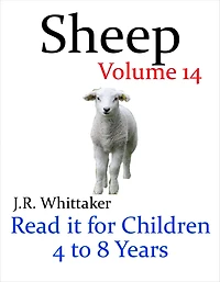 Sheep (Read It Book for Children 4 to 8 Years)