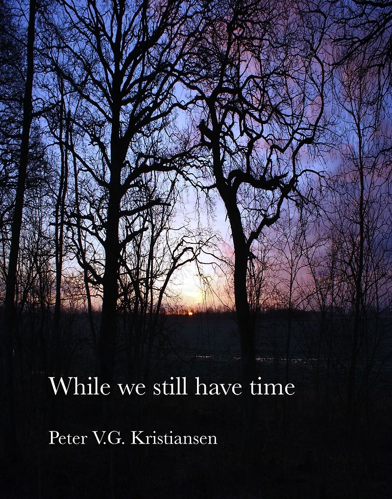 While We Still Have Time