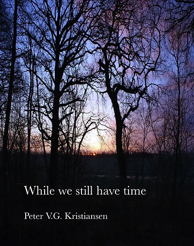 While We Still Have Time