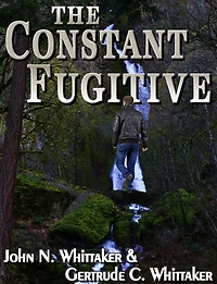 The Constant Fugitive