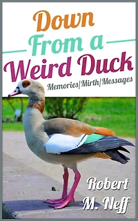 Down From A Weird duck