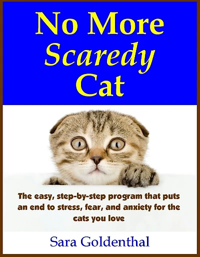 No More Scaredy Cat