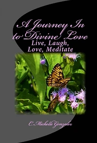 A Journey In to Divine Love