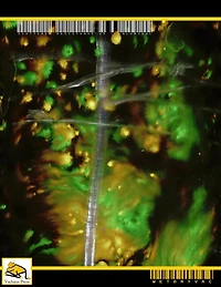 Scattered Resistance v5 - Inluminal
