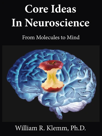 Core Ideas in Neuroscience