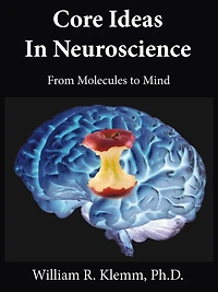 Core Ideas in Neuroscience