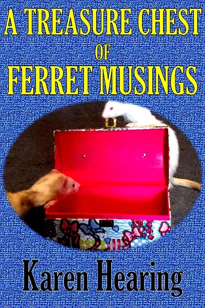 A Treasure Chest of Ferret Musings