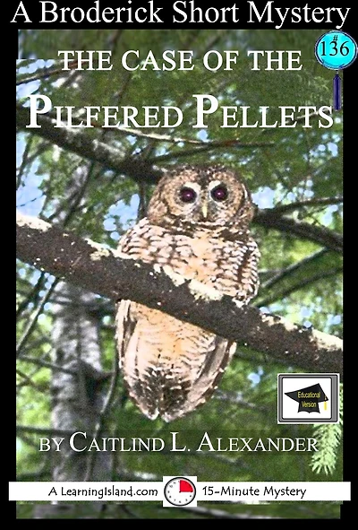 The Case of the Pilfered Pellets: A 15-Minute Brodericks Mystery, Educational Version