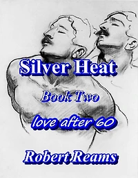 Silver Heat II