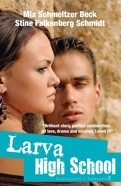 Expectations & Endurance, Larva High School 2