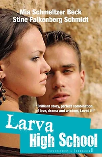 Expectations & Endurance, Larva High School 2