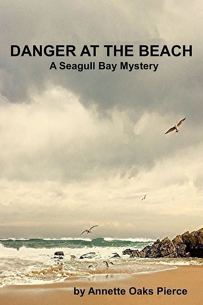 Danger At The Beach (A Seagull Bay Mystery)