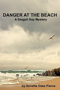 Danger At The Beach (A Seagull Bay Mystery)