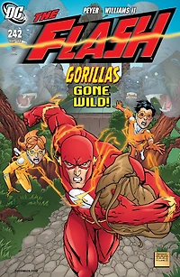 The Flash (1987-2009) #242