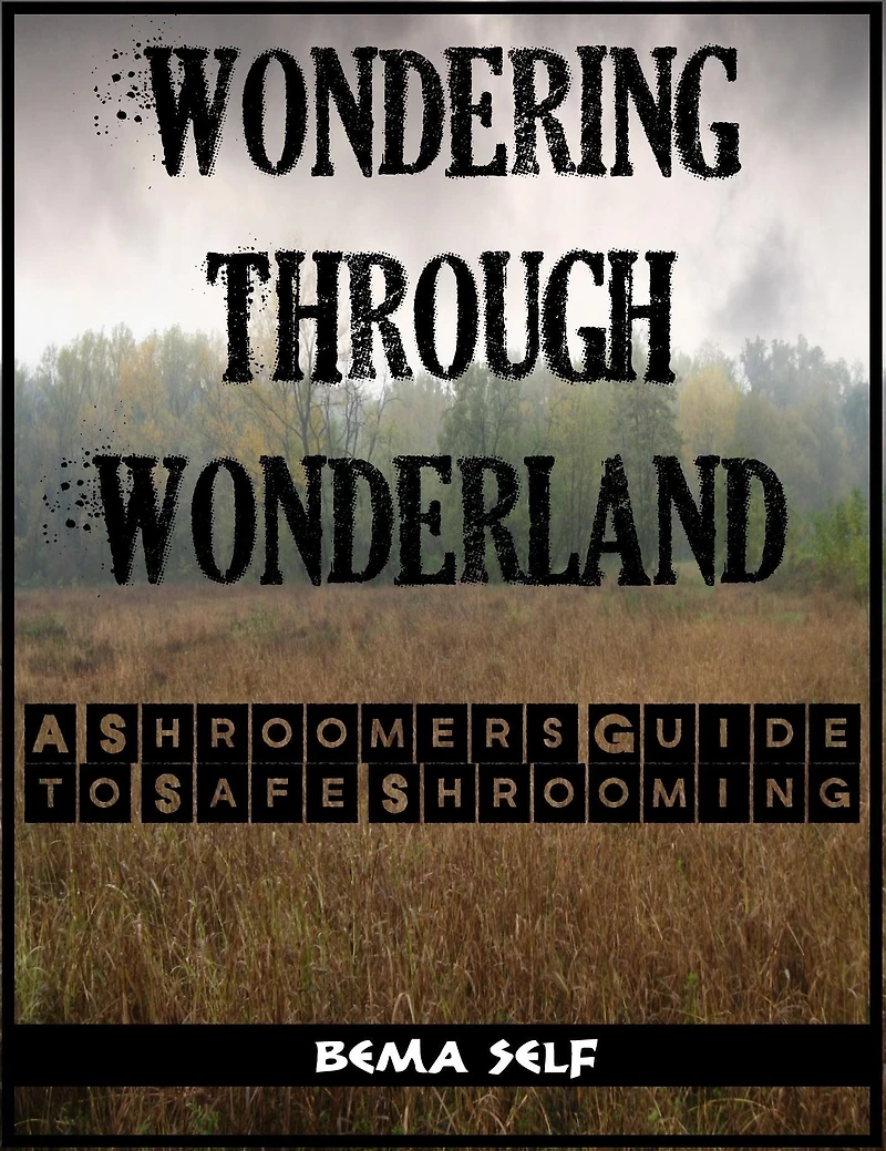 The Shroomers Guide To Safe Shrooming