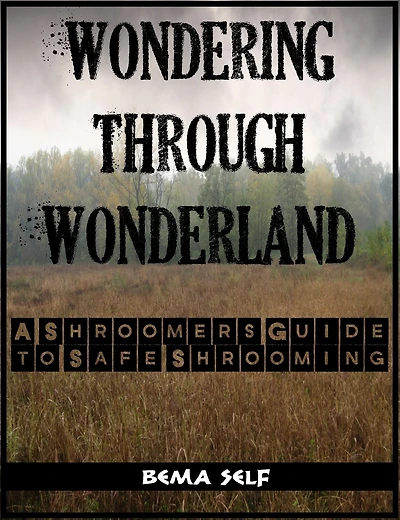 The Shroomers Guide To Safe Shrooming