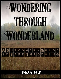 The Shroomers Guide To Safe Shrooming