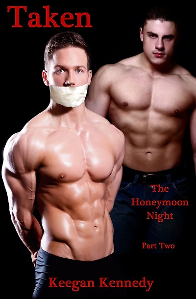 Taken: Part Two: The Honeymoon Night