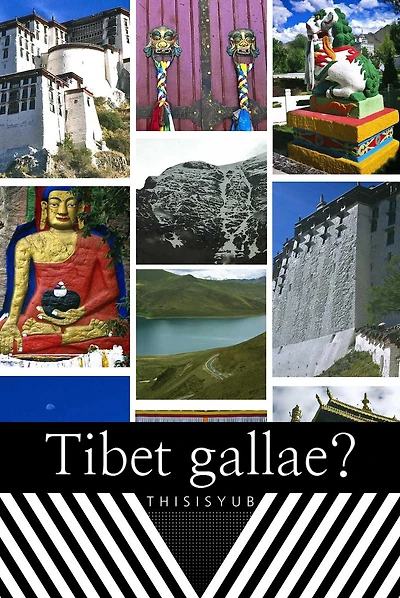 Tibet gallae?