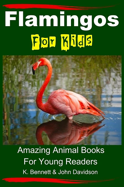 Flamingos For Kids - Amazing Animal Books For Young Readers