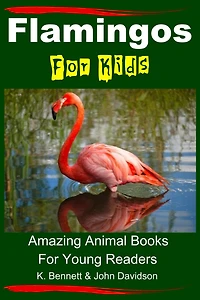 Flamingos For Kids - Amazing Animal Books For Young Readers