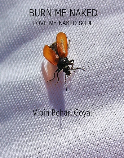 Burn Me Naked- Love My Naked Soul