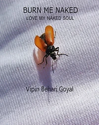 Burn Me Naked- Love My Naked Soul