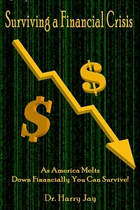 Surviving A Financial Crisis