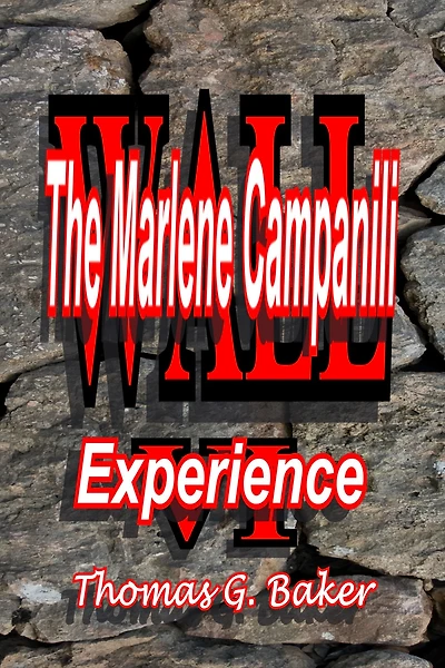 Wall VI The Marlene Campanili Experience