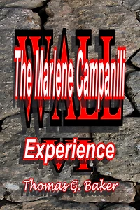 Wall VI The Marlene Campanili Experience