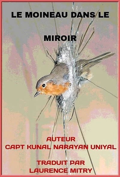 Le Moineau Dans Le Miroir