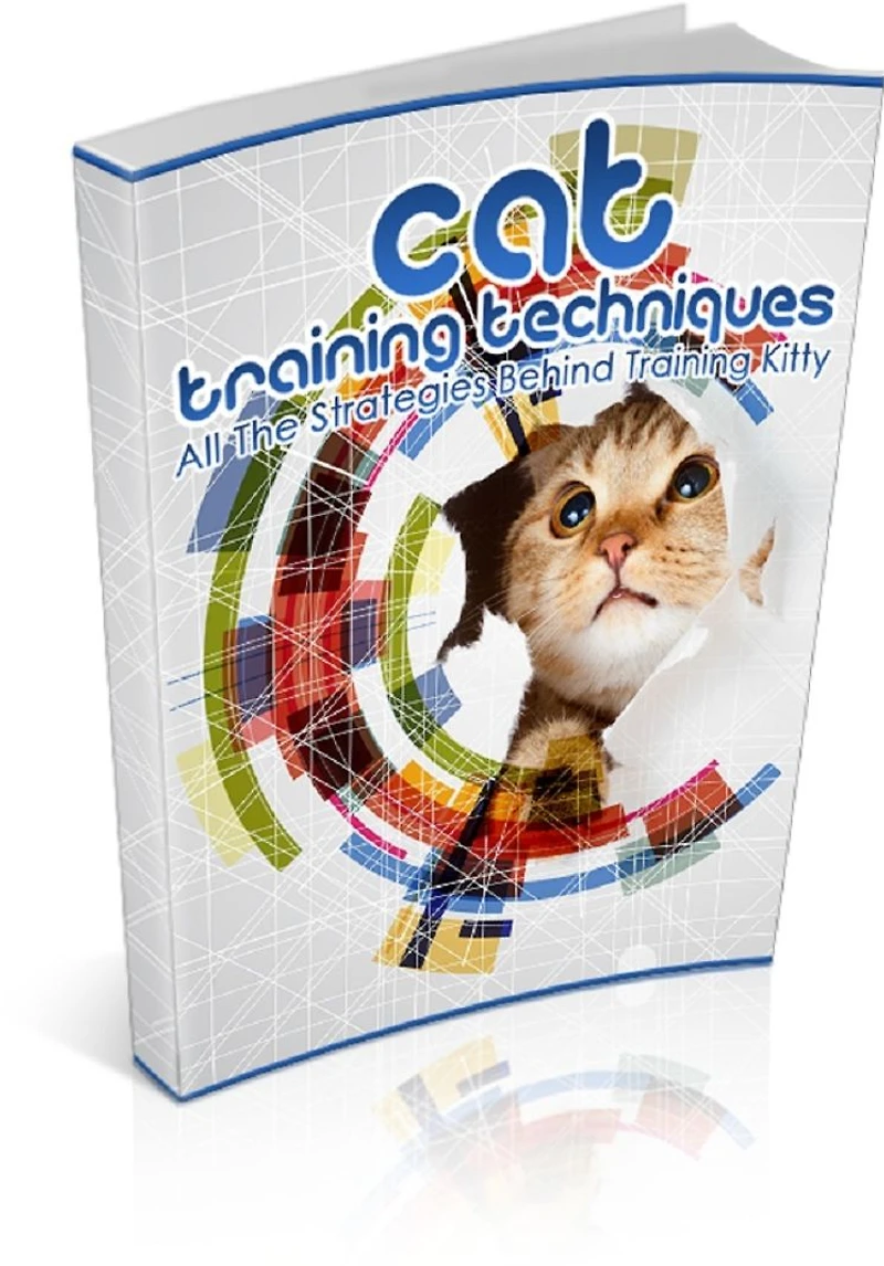 Cat Training Techniques: All The Strategies Behind Training Kitty