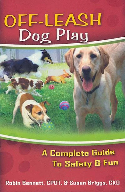 Off-Leash Dog Play: A Complete Guide to Safety & Fun