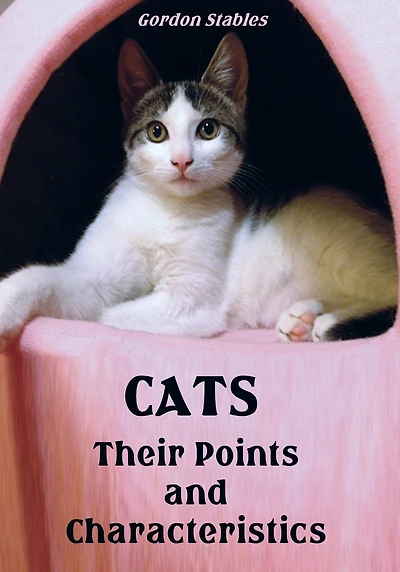 Cats: Their Points and Characteristics