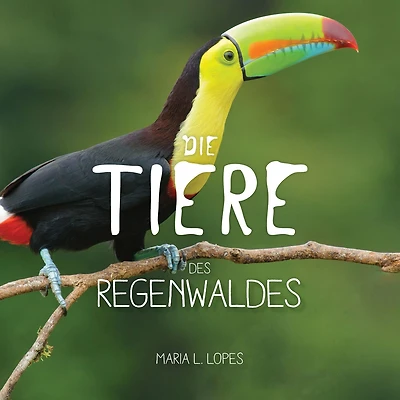 Die Tiere des Regenwaldes