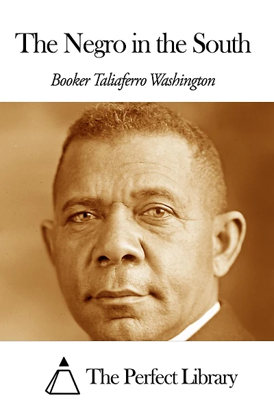the Negro South