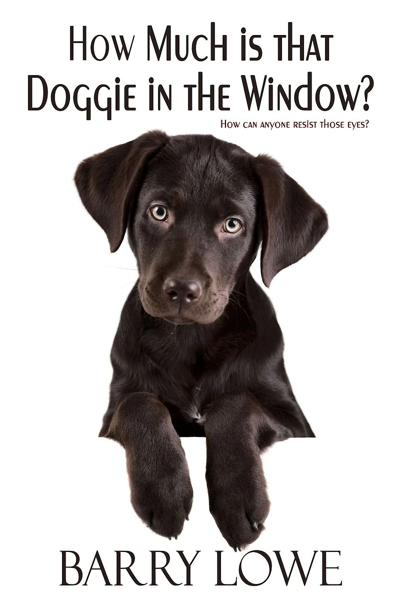 How Much is That Doggie The Window?
