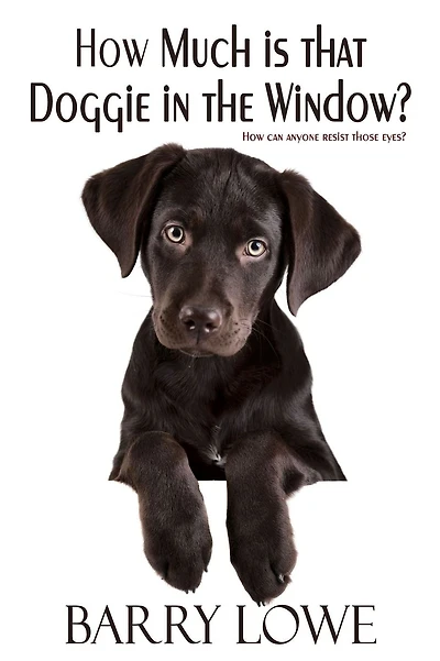 How Much is That Doggie The Window?