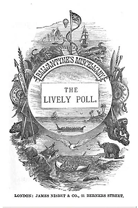 The Lively Poll