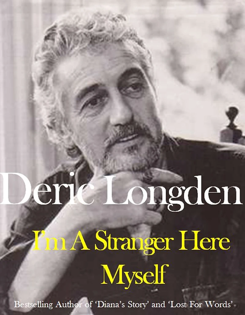 I'm a Stranger Here Myself