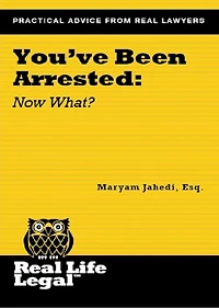 You've Been Arrested: Now What?