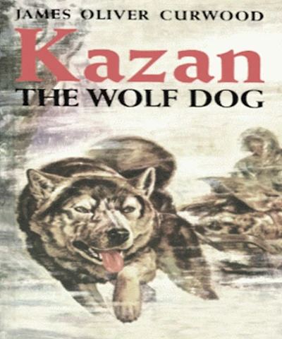 Kazan, the Wolf Dog
