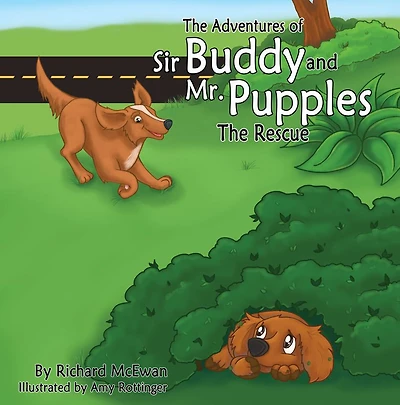 The Adventures of Sir Buddy and Mr. Pubbles -The Rescue