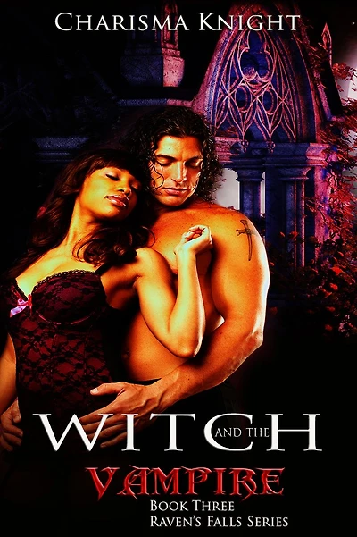 Witch And The Vampire: Book 3 Raven's Falls Series