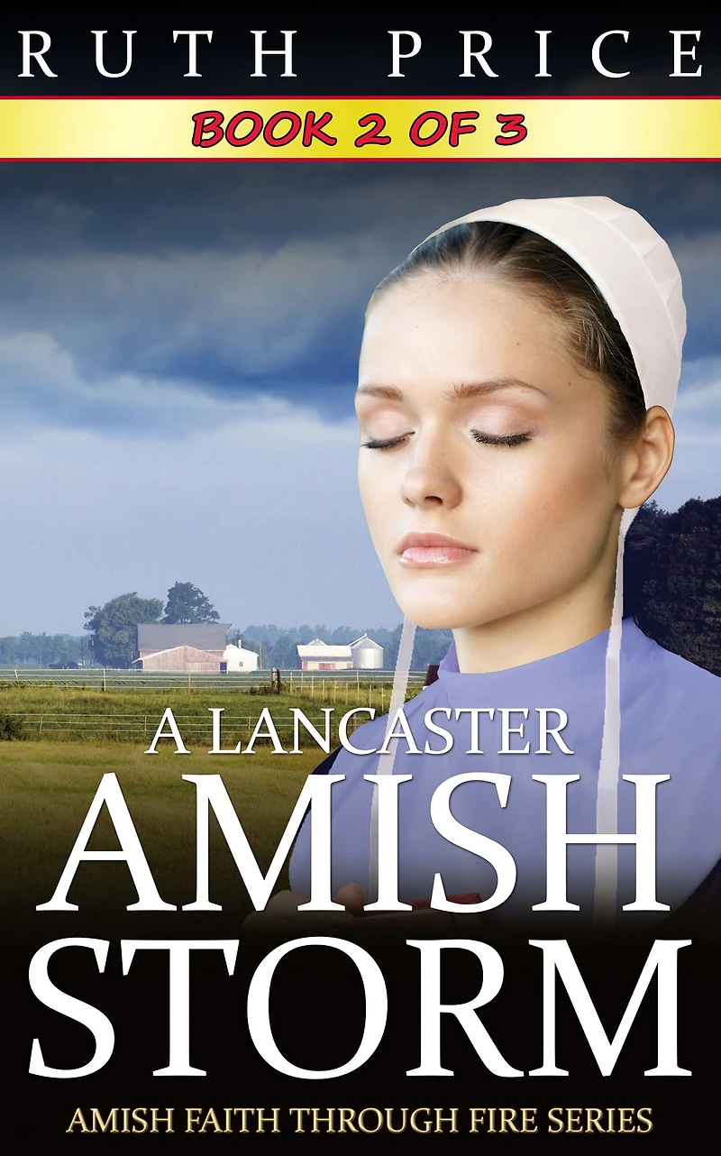 A Lancaster Amish Storm - Book 2