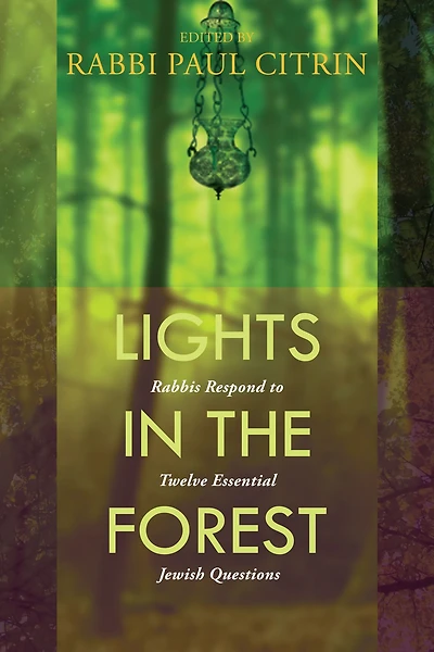 Lights the Forest: Rabbis Respond to Twelve Essential Jewish Questions