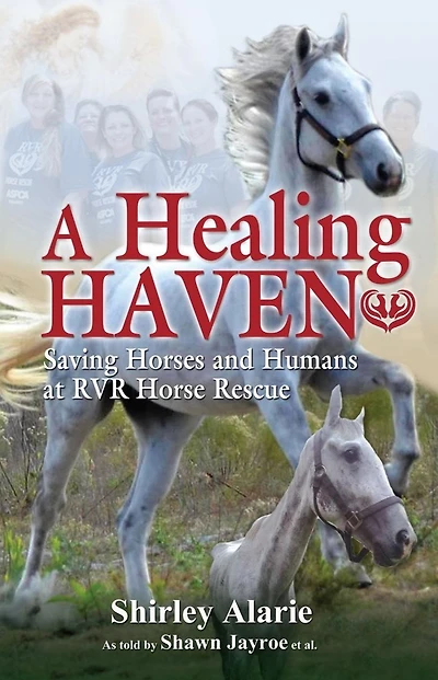 A Healing Haven: Saving Horses and Humans at RVR Horse Rescue