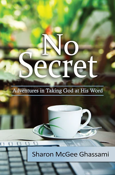 No Secret: Adventures Taking God at His Word