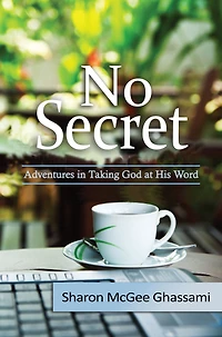 No Secret: Adventures Taking God at His Word